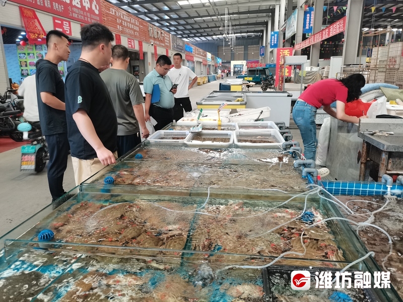 潍坊开海“第一鲜”！你“炫”了吗？