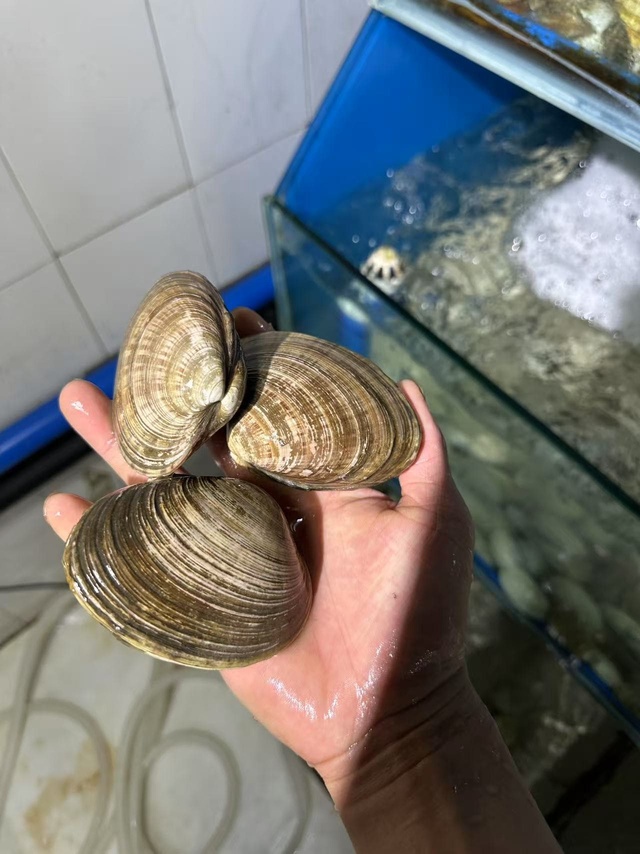 鲜活海产品·筑城新体验——探访贵阳盛陵海产品经营之道
