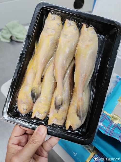这是我的海鲜供应商,今天亲自到工厂来看一下